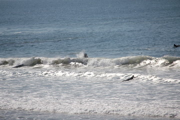 Obraz premium surfer beach winter marocco