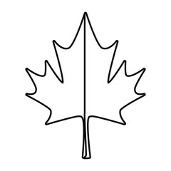 maple leaf canadian symbol icon