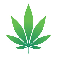 Green Hemp leaf vector illustration