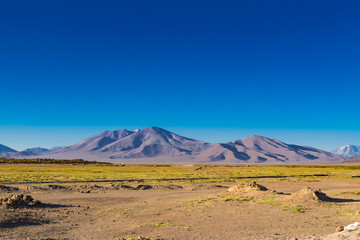 Scenic landscape at Uyuni in Bolivia