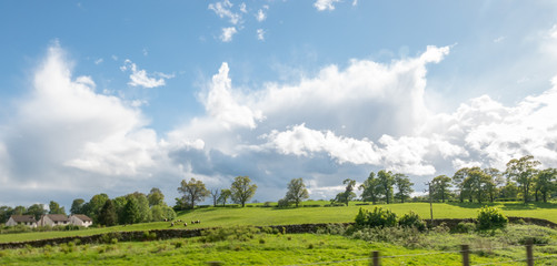 Naklejka premium landscape with clouds