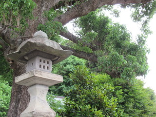 Japanese Shrine