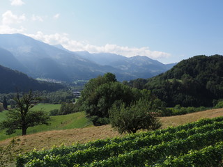 Rural Panorama With Alps European