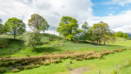 Obraz premium scotland comrie view