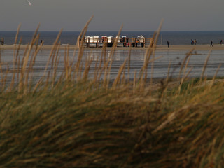 Fototapeta na wymiar beach buildings in St. Peter-Ording seen through beach grass.