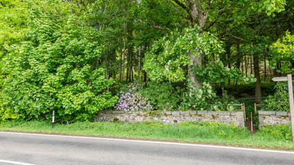 scotland comrie view