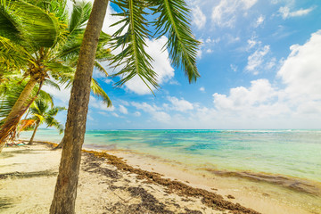 Bois Jolan beach in Guadeloupe,