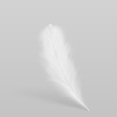 Birds feather, single white, fluffy plume flying, falling on grey surface 3d realistic isolated vector illustration. Softness, fragility and purity symbol. Tenseness, elegance concept design element