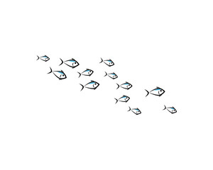 set of abstract fish background template vector illustration design