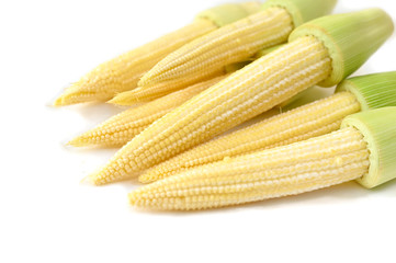 Baby corn on white background - isolated