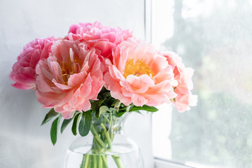 Coral peonies. Flowers in a vase on a white windowsill. Morning light in the room. Beautiful peony flower for catalog or online store. Floral shop and delivery concept .