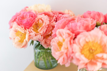 Focus on the background. Cozy and atmosphere at home. Two glass vases with Coral peonies. Morning light in the room. Beautiful peony flower for catalog or online store.