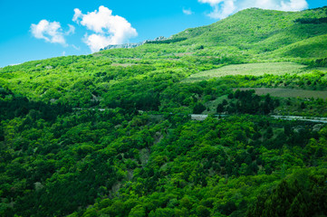 view of mountains