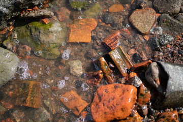 stones washed by water and green algae