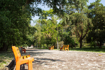 Beautiful city park in the sun