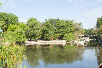 Beautiful summer lake in the city park
