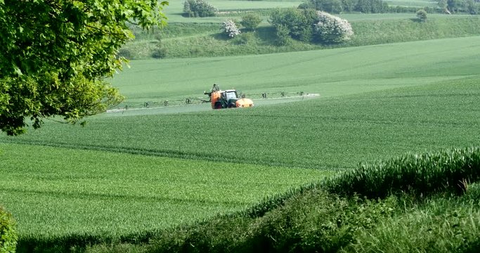 agriculteur passant la herse dans ses champs