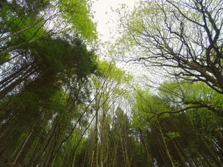 The Alps of Lombardy during a spring day in the province of Como, Italy - May 2019.