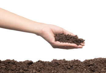 hand to plant seedlings into fertile soil isolated on white background © cloud7days