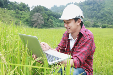 Smart Farming.Management Information System using technologies in agriculture.farmer with laptop computer in field using apps and internet of things(IOT) in production and agricultural research © mansong