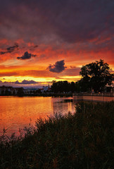 Reed edge with sunset and dramatic clouds over the Schwerin old town. Mecklenburg-Vorpommern, Pomerania, Germany