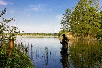 angler catching the fish during sunny day