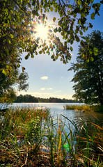 Fototapeta na wymiar Sunbeams on a small island in Lankower Lake in Schwerin.