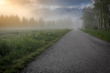 road in the flower field, at an foggy morning