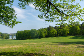 Fototapeta na wymiar landscape in stockhoms park. summer day