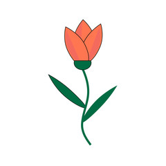 Simple red tulip on stalk