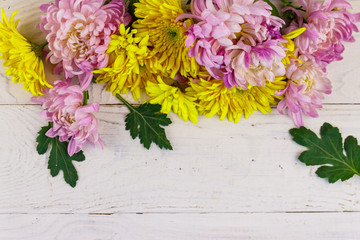 Beautiful chrysanthemums on white wooden background. Top view, copy space