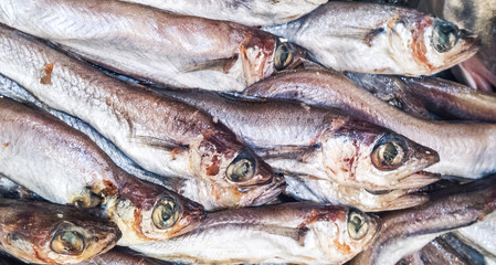 freshly salted fish in market