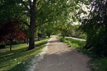 Paseo junto a la ribera