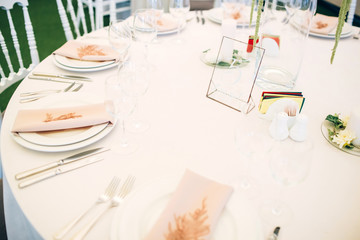 Wedding table service. Plates, glasses and flowers served on pink cloth