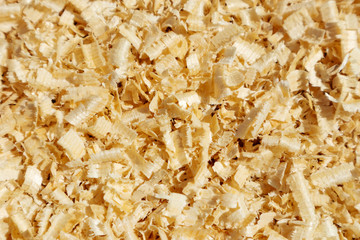 Wooden sawdust closeup texture of sawdust. The texture of the floor sawdust. View from above. Background image.