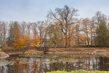 Autumn park in city  with reflection in small lake