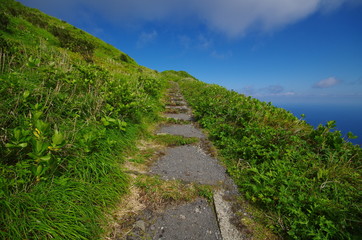 Fototapeta na wymiar 八丈富士のハイキングコース