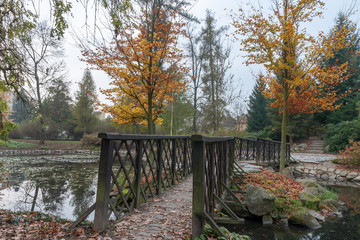 Autumn park in city  with reflection in small lake and bridge
