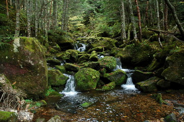 Fototapeta premium 登山