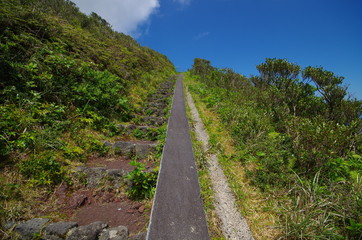 八丈島の登山道