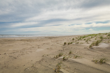 Sand dunes in Spring at Diamond Beach, Wildwood Crest, NJ