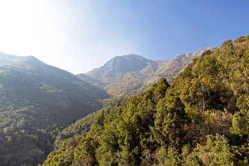 Naklejka premium Mountain view Andes and Aconcagua vegetation on clear day in La Campana National park in central Chile