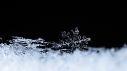 snowflake, little snowflake on the snow