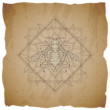 Vector illustration with hand drawn Wasp and Sacred geometric symbol on old paper background with torn edges. Abstract mystic sign.
