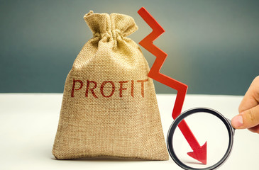 Bag with money and word profit and down arrow. Unsuccessful business and poverty. Profit decline....