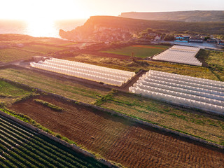 Greenhouses for planting heat-loving plants. Agriculture concept and farm. Aerial top view