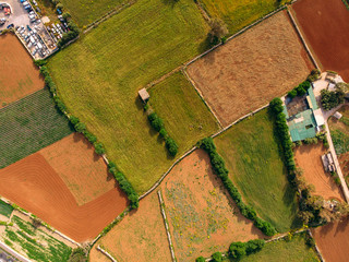Fields for planting green, yellow, greenhouses growing tomatoes and strawberries. Aerial top view