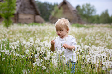 Sweet boy, blowing on dandelion beautiful field with many flowers