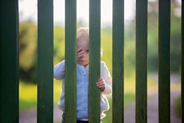 Obraz premium Sweet toddler boy, standing behind green wooden gate, smiling