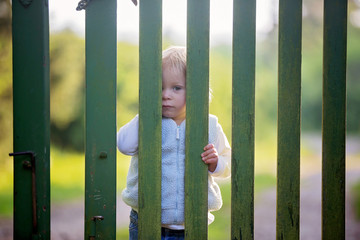 Sweet toddler boy, standing behind green wooden gate, smiling